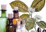 farmacias-de-homeopatia-25-de-marco-1355235039