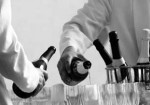 organizacao-de-eventos-25-de-marco-1355168841