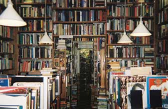 Sebo Alternativa - Foto 1