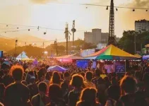 artistas e festivais de música