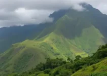 Prefeitura de Mauá