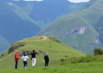Grupo Passarela
