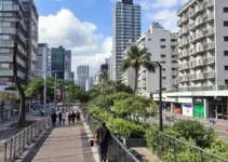 calçadões do Centro de SP