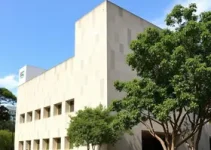 Sesc 80 anos